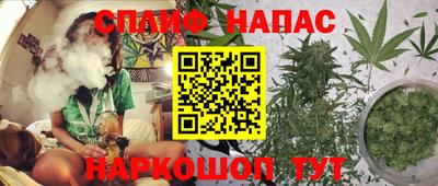 крисы Славянск-на-Кубани